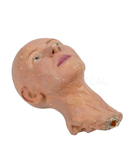 Fake Head 